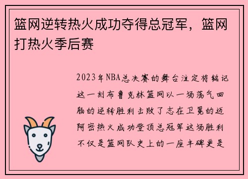 篮网逆转热火成功夺得总冠军，篮网打热火季后赛